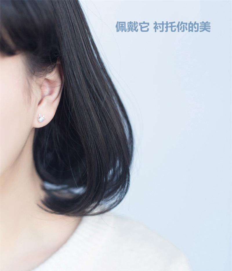 se267 (1)