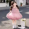 Vestido infantil para primavera e outono 2026 novo estilo infantil elegante suéter xale saia de tule vestido princesa conjunto de duas peças