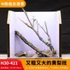 Árbol para paisajismo de acuario sudamericano, ramas secas, ramas de peral amarillo, decoración de sustrato, pecera pequeña, ramas naturales, decoración de paisajismo y paisajismo.