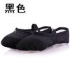 Zapatillas de Ballet para Mujer Zapatos de Danza para Niños Zapatos de Práctica Zapatos Arañazo de Gato Zapatos de Baile Zapatos de Cuerpo Suela Blanda