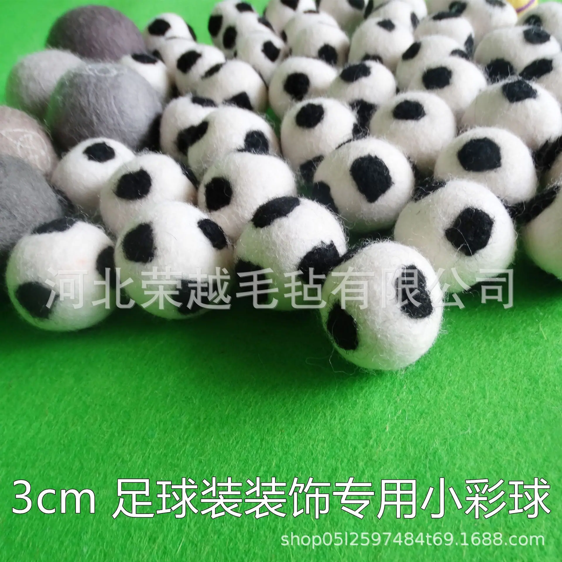 DSC06785_副本.jpg