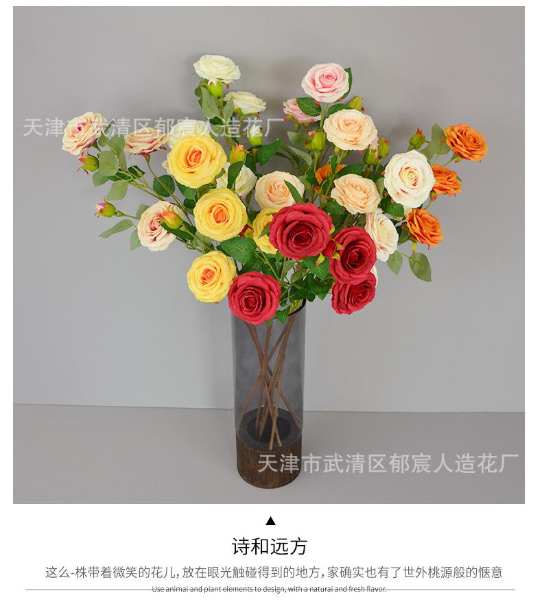 详情_06.png
