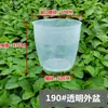 Maceta Engrosada Controladora de Raíces para Orquídea Phalaenopsis, Maceta de Malla, Cesta de Plantación, Maceta Transparente para Plántulas, Taza de Nutrientes, Almacenamiento de Agua Hidropónica