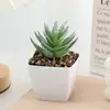 Mo Chu ventilador de simulación cuadrado flocado carnoso traje pequeño al por mayor decoración del hogar exhibición Amazon más vendidos plantas en maceta