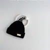 Chapéu de Lã Tricotado Urso de Inverno, Chapéu Quente e Fofo com Proteção para Orelhas à Prova de Frio, Chapéu de Tricô Acolchoado Estilo Coreano para Homens, Mulheres e Crianças