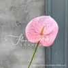 Simulación Transfronteriza Anturio Tallo Único Textura 3D Flamenco Escena del Hogar Arreglo Decoración Arreglo Floral Accesorio Ramo de Flores Artificiales