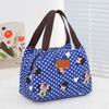 Bolso de mano para mujer, lonchera de gran capacidad, lonchera, bolsa de almacenamiento tipo momia, bolso de mano de lona impermeable, bolso de tela pequeño para mujer