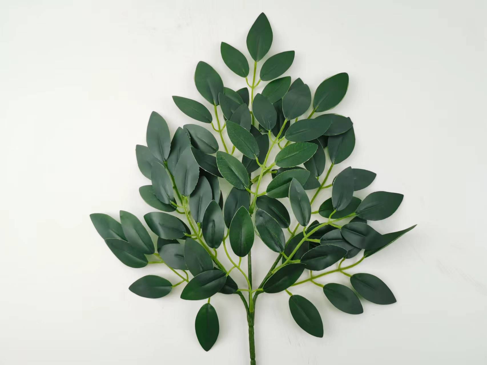 豆花叶 (10).jpg