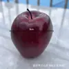 Frutas y Verduras Simuladas para Bocetos de Naturaleza Muerta de Estudiantes de Arte, Materiales Didácticos, Accesorios de Fotografía, Estudio de Arte de Frutas de Cera, Modelos de Frutas Falsas