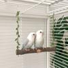 Columpio de Loro Juguete de Loro de Madera Madera de Manzano Perca para Pájaros Cacatúa Agapornis Rompe Aburrimiento Trepar Morder Rascar Palo