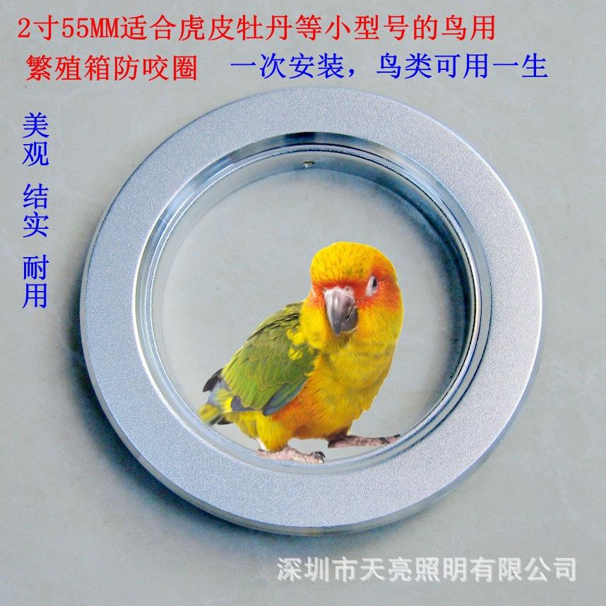 IMG_2567副本_副本