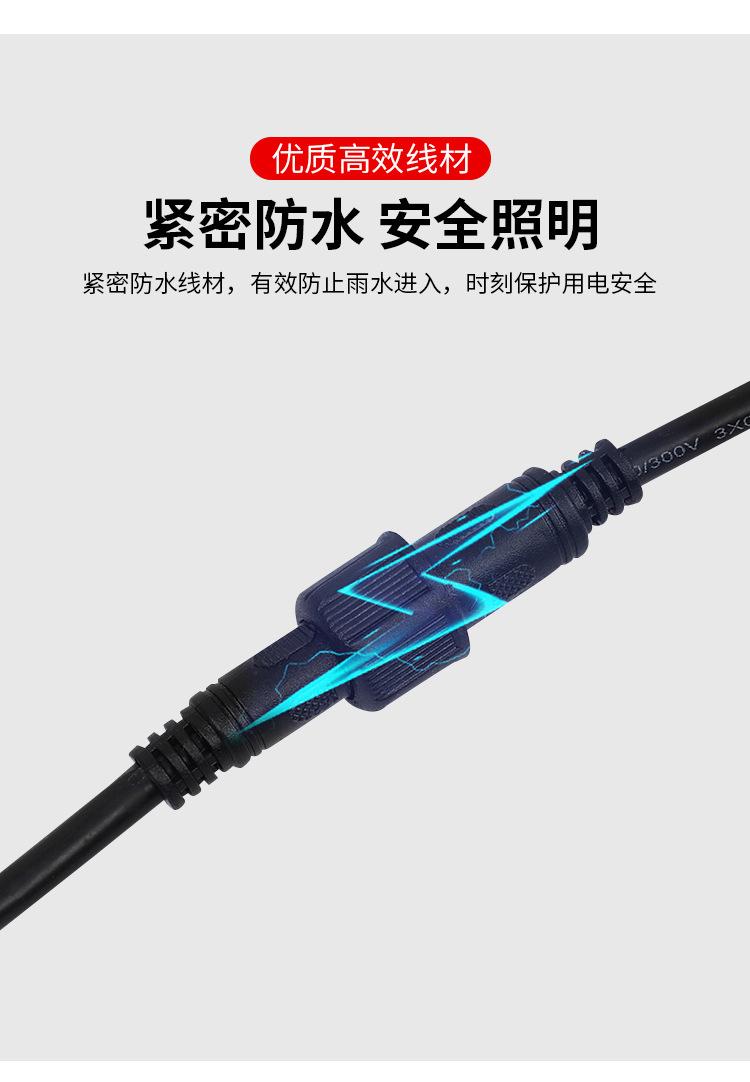 2纳米金豆_13.jpg