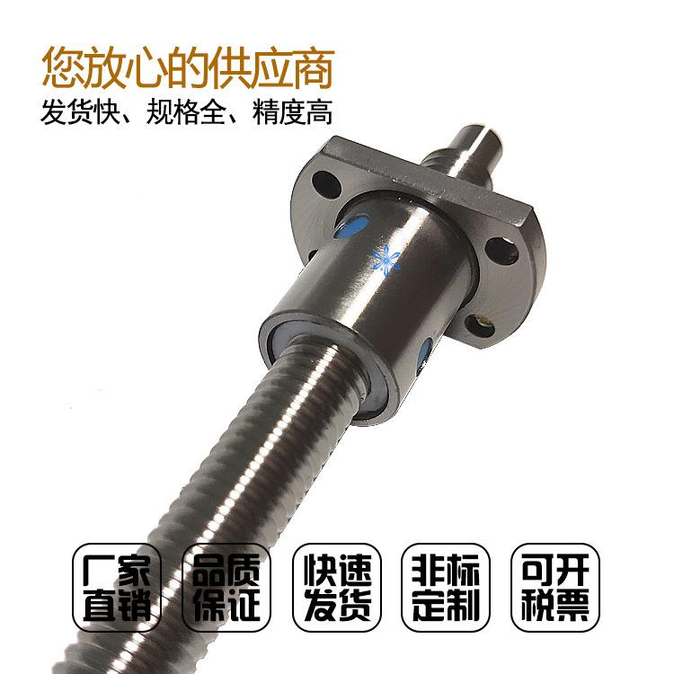 1202研磨滚珠丝杆 (5)