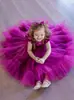 Vestidos de Niña Amazon, Vestidos para Primer Cumpleaños y Bautizo, Vestidos de Princesa al por Mayor, Mangas Cortas Volantes, Vestidos de Malla para Pastel con Adorno para la Cabeza