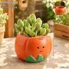 Maceta linda con forma de caqui para jardinería casera, adecuada para mesas soleadas, plantas suculentas, plantas verdes, decoraciones en maceta y recipientes florales ornamentales