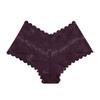 Bragas de Encaje Populares Transfronterizas Europeas y Americanas para Mujer con Forro de Algodón, Entrepierna Semi-Transparente de Algodón Puro, Hipsters Sin Costuras de Cintura Baja