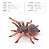 Simulación araña sólida unicornio ciempiés modelo insecto juguete para niños mariposa abeja adornos de animales mesa de arena