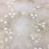 Tela Bordada con Lentejuelas Nueva Colección Primavera y Verano 2021 Tela para Vestido de Mujer Transparente de Malla Bordado Plano Europeo y Americano