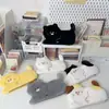 Estojo Fofo de Gatinho para Alunos do Ensino Fundamental Caixa de Papelaria de Pelúcia Japonês Grande Capacidade Novo Presente para Meninos e Meninas