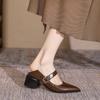 Sapatos Pointy Franceses Femininos 2025 Primavera Novos Elegantes Pretos Salto Grosso com Mary Jane Simples Versátil Sapato de Camada Única