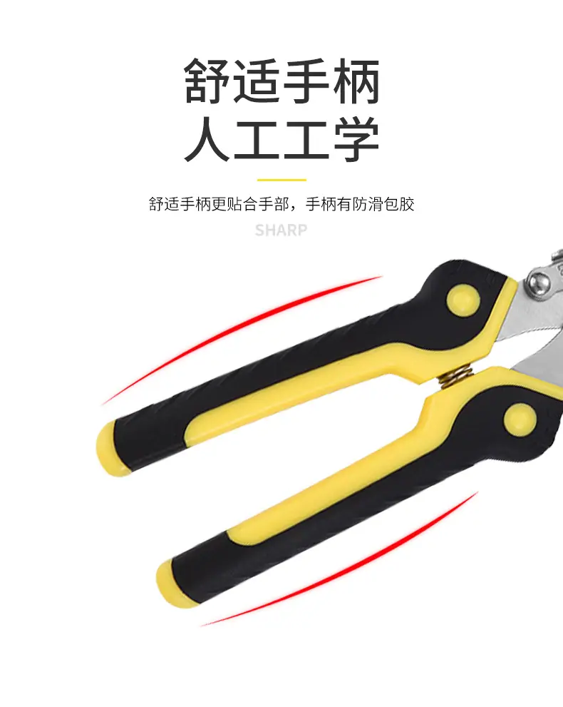中达_10