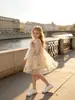 2026 Artículo popular de TikTok Verano Temu nuevo vestido de manga larga para niña vestido de princesa bordado estampado