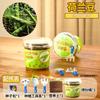 Venta al por mayor Casa del Sol Plantación Juego de Experimentos Científicos Pequeños para Niños Observación del Crecimiento de Plantas Fruta Verdura Flor Juguete Regalo