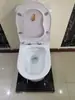 Cabezal de ducha bidé vitrina Taibao Zhan baño inodoro de sentadilla Taibao Mai tablero de exhibición estante de exhibición grifo Mai Taibao
