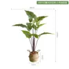 Plantas Artificiais Estilo Nórdico em Estoque para Atacado, Planta Artificial de Taro Torto, Plantas Verdes Falsas para Paisagismo, Plantas em Vasos para Decoração de Piso Interno para Sala de Estar