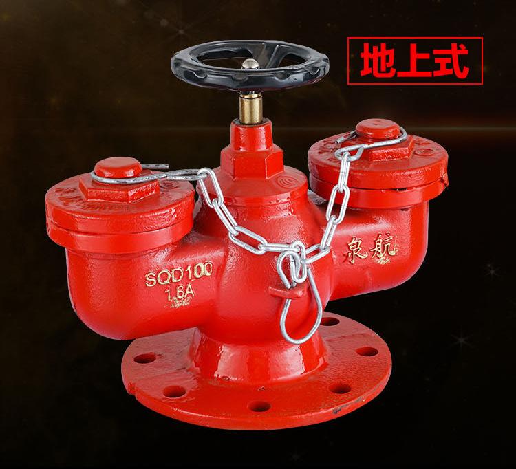 多用型水泵接合器_03