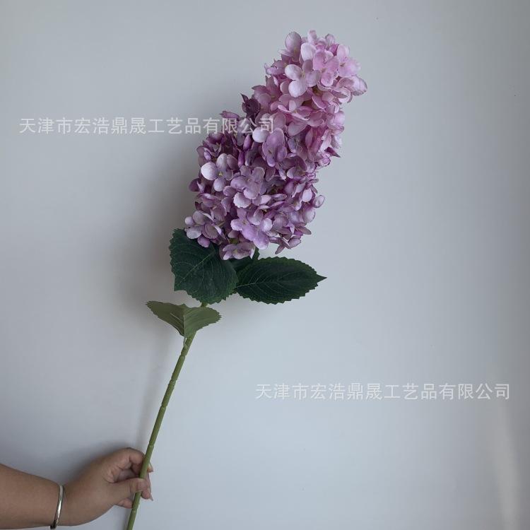 微信图片_20230815154248_副本