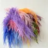 Atacado de Grama Eterna do Fabricante para Casamento e Decoração de Casa DIY Materiais Florais, Grama de Cabelo Longo para Flores de Arte Penduradas