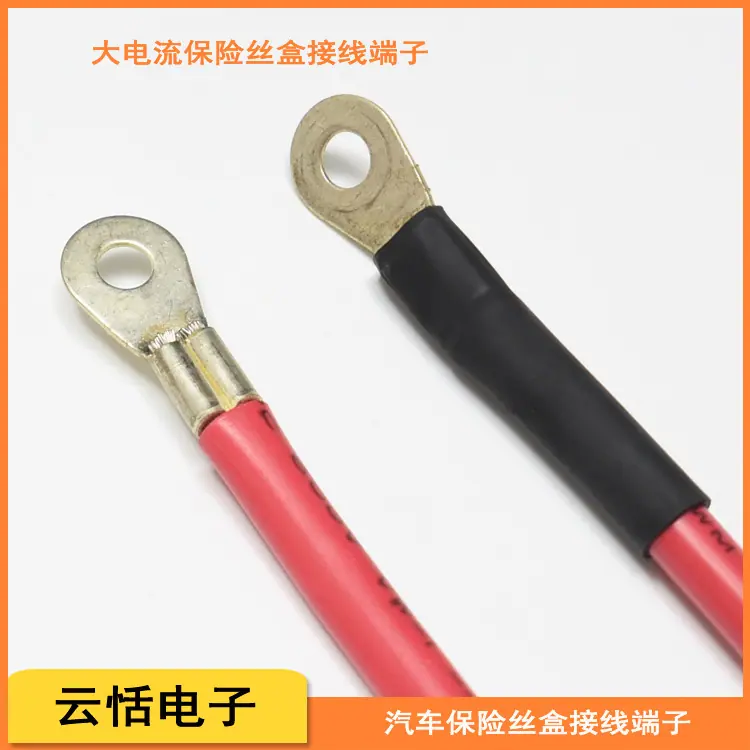 大电流接线鼻子带线.jpg