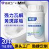 Desodorante para Alcantarillas para Inodoros y Baños, Solución Anti-Olor para Desagües de Piso, Antibacteriano y Prevención de Olores para Tuberías de Cocina