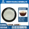 Extracto de Frijol Blanco, Polvo de Frijol Repollo, Polvo de Frijol Blanco que Contiene Enzima Inhibidora de Almidón en Polvo, Disponible en Stock