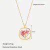 Colar de Resina com Flores Secas Naturais Estilo Europeu e Americano Pingente de Flor Eterna em Aço Inoxidável Dourado 18K Corrente para Clavícula para Mulheres Venda Quente Transfronteiriça