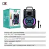 O8K Nuevo Modelo Ok-8105W Altavoz Portátil de 8 Pulgadas con Micrófono Inalámbrico, Altavoz Cuadrado RGB para Baile al Aire Libre y Karaoke para Cantantes