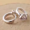 Brincos de ferradura para joias transfronteiriças Moda europeia e americana feminina fivela de orelha com diamante único brincos pequenos de argola com zircônia de diamante flash atacado entrega