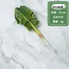 Modelo de vegetal de simulação PU pimenta alface repolho chinês berinjela cebola cogumelo brócolis modelo de adereços decoração de sala