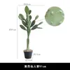 Cactus Simulado Planta Tropical del Desierto De Pie Cactus Falso Grande Columna Planta Verde Decoración de Ventana de Tienda de Ropa