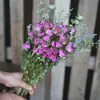 Ramo de Flores Secas de Rosa Multicabeza para el Día de San Valentín Decoración del Hogar Arreglo Floral Decoración de Rosa Real Mezcla de Flores Frescas en Burbuja