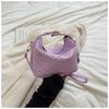 Bolsa Celebrante de Internet Bolsa de Almacenamiento Tejida 2024 Otoño Nuevo Bolso de Mano Diseño Nicho Bolso Bandolera de Hombro Bolsa Almohada