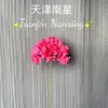 Ventas Directas de Fábrica de Flores de Hortensia Grande Individuales para Bodas, Hogar, Sala de Estar, Flores Artificiales, Adornos, Accesorios para Fotografía, Venta al por Mayor
