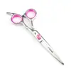 Tijeras para el cabello Nipsen de 6.0 pulgadas Tijeras de gama media Tijeras de corte plano Tijeras dentales de corte plano Corte recto Corte fino Corte de división para el hogar