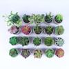 [Suculentas Mini] Planta Suculenta Artificial Bonsái en Maceta de Pulpa de Papel (Maceta Incluida) Adorno Ornamental Imitación de Planta