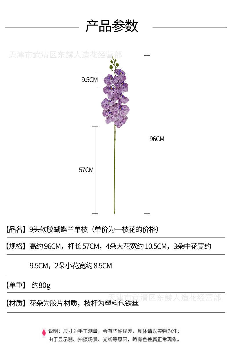 详情_01.jpg