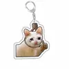 Rana Acrílico Souvenir Mascota Perro Expresión Perro y Gato Colgante Creativo Foto Llavero Otros