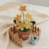 Produto Acabado: Planta Vaso de Flor Estrela com Galho Torcido, Ornamento Feito à Mão, Mini Flor Casa de Bonecas Micro-Paisagem, Presente de Feriado