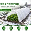 Tecido Não Tecido Branco Espessado Proteção Contra Frio para Árvores Frutíferas Jardinagem Isolamento Pomar Respirável Tecido Anticongelante