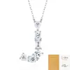 Moda de Comercio Exterior Estilo Ins Lujo Accesible Nicho Collar Transfronterizo Nuevo Collar de Plata 925 que No se Desvanece Accesorios para Mujer Verano